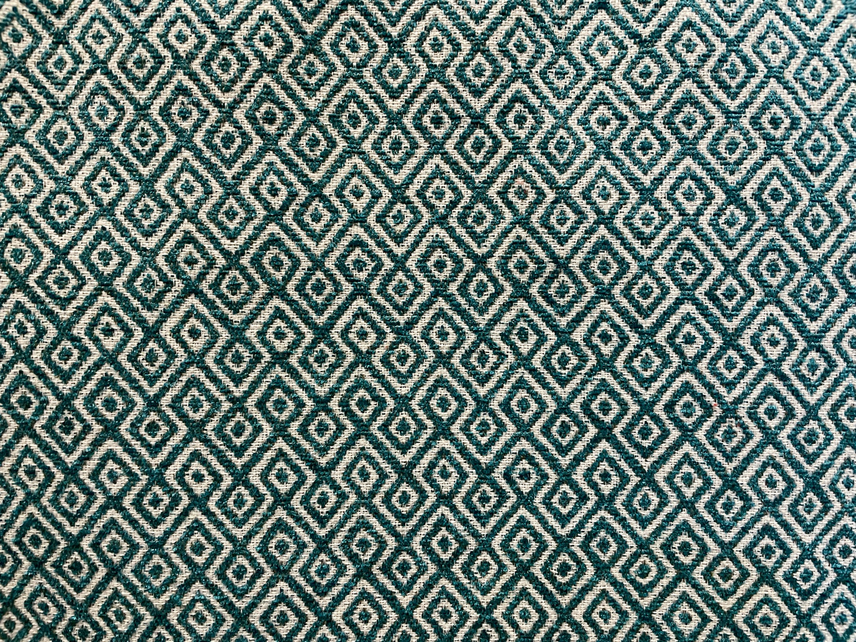 Nisha Teal