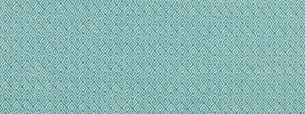 Nisha Teal
