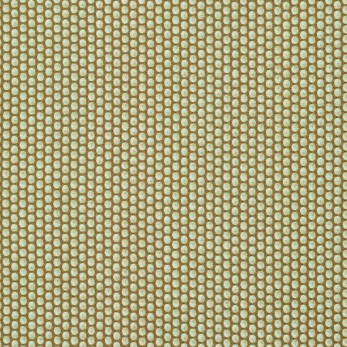 Retrospect Acorn