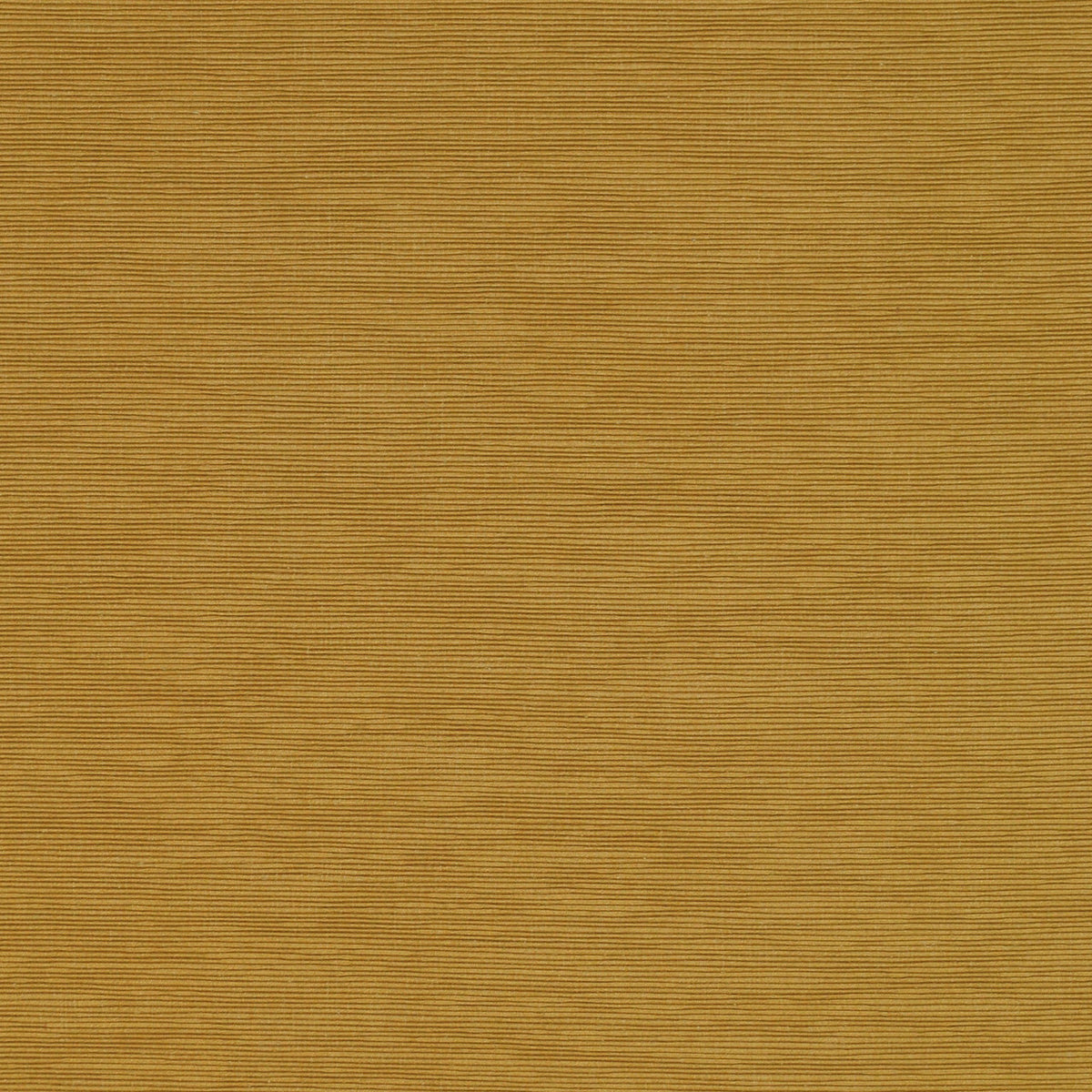 Alexander 142 Tumeric