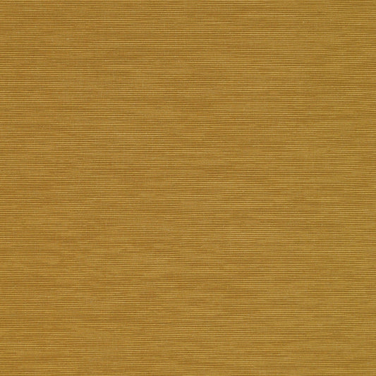 Alexander 142 Tumeric