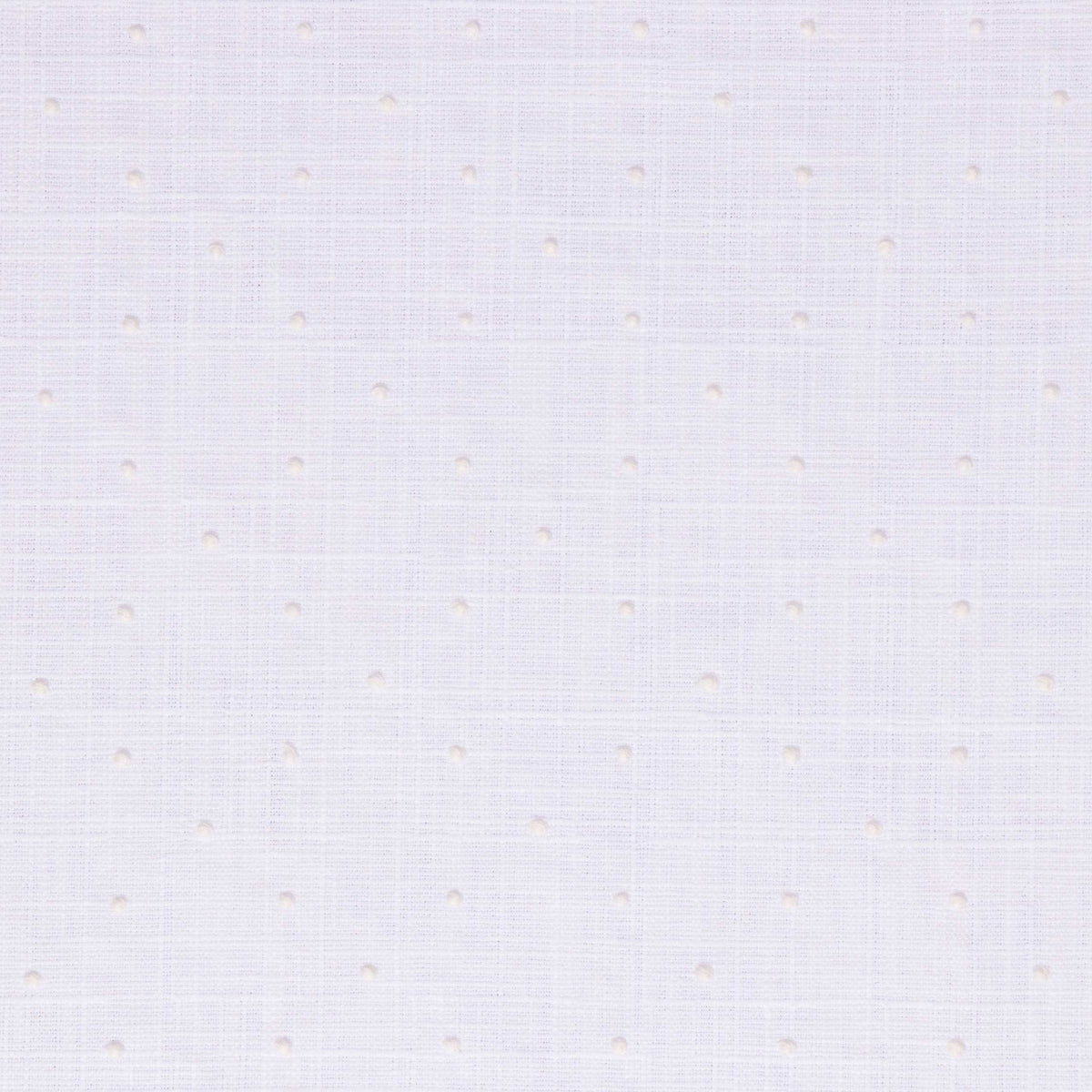 Circle Back Snow