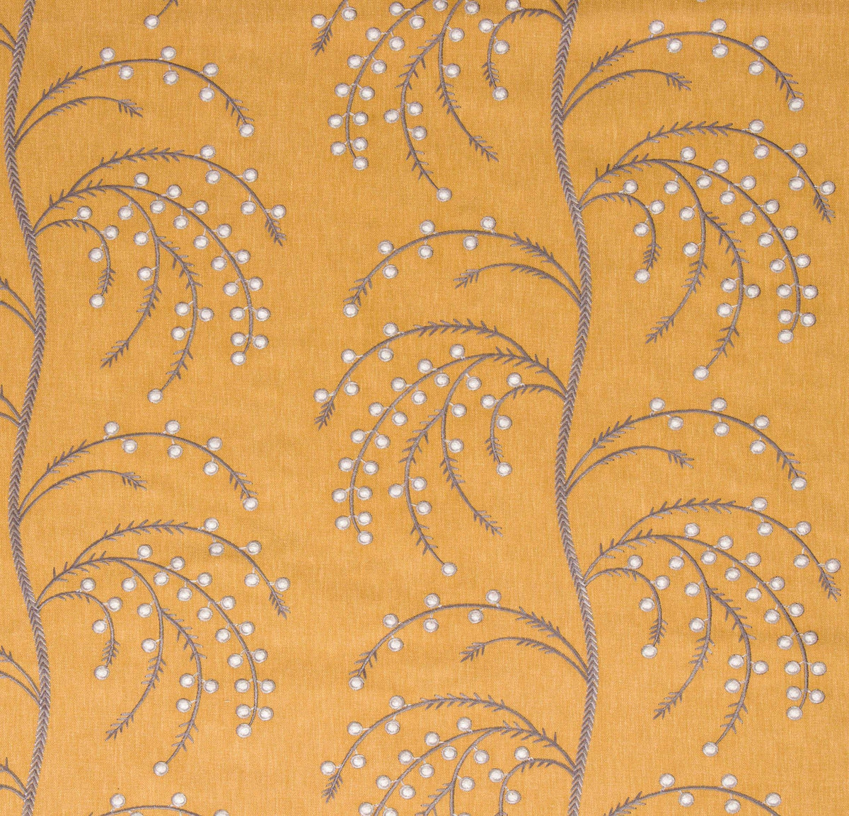Deepa Mustard Seed