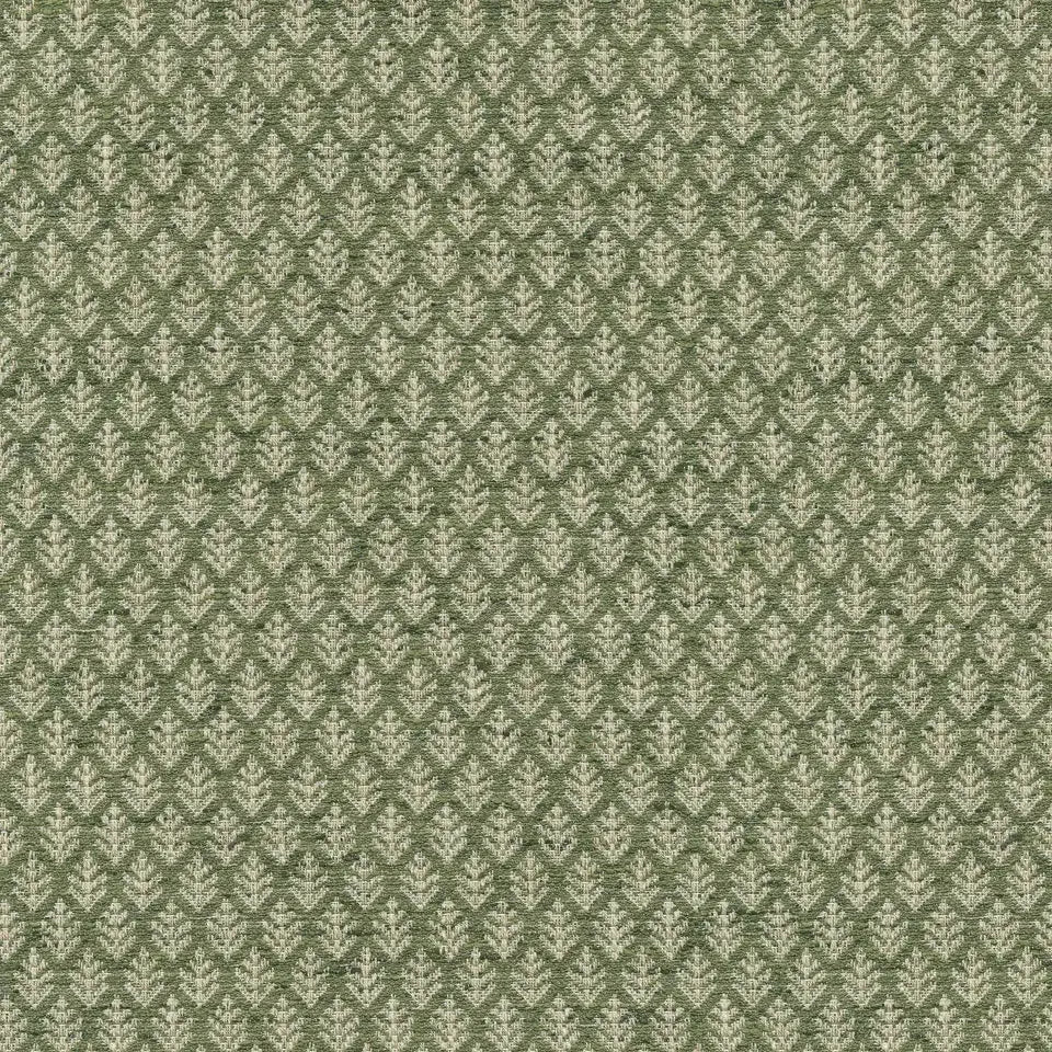 Fern Fair Leaf