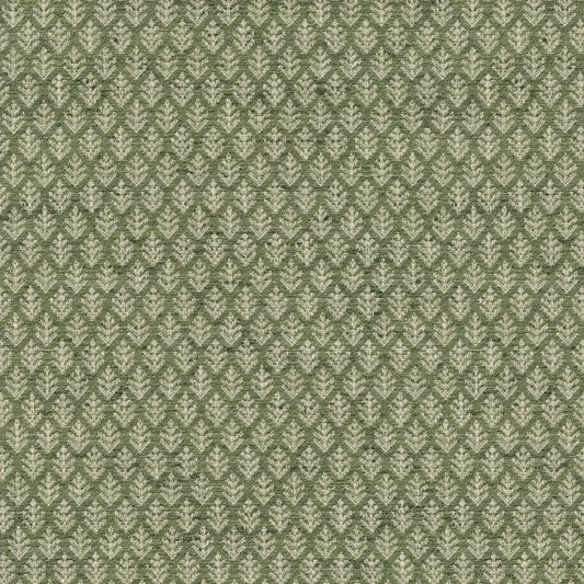 Fern Fair Leaf