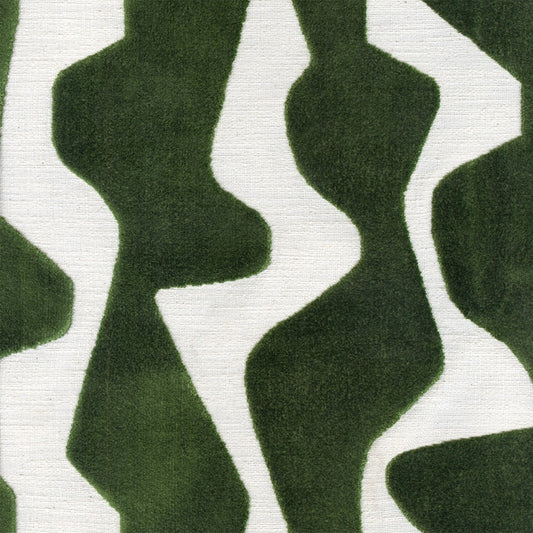 Kaimu Parsley