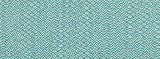 Nisha Teal