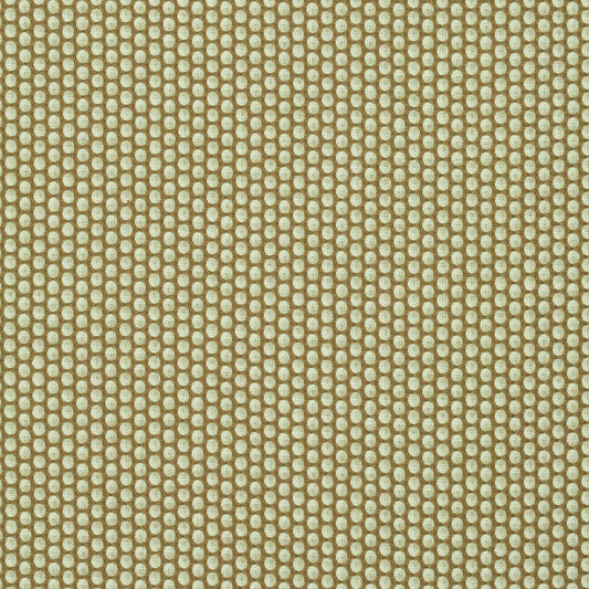 Retrospect Acorn