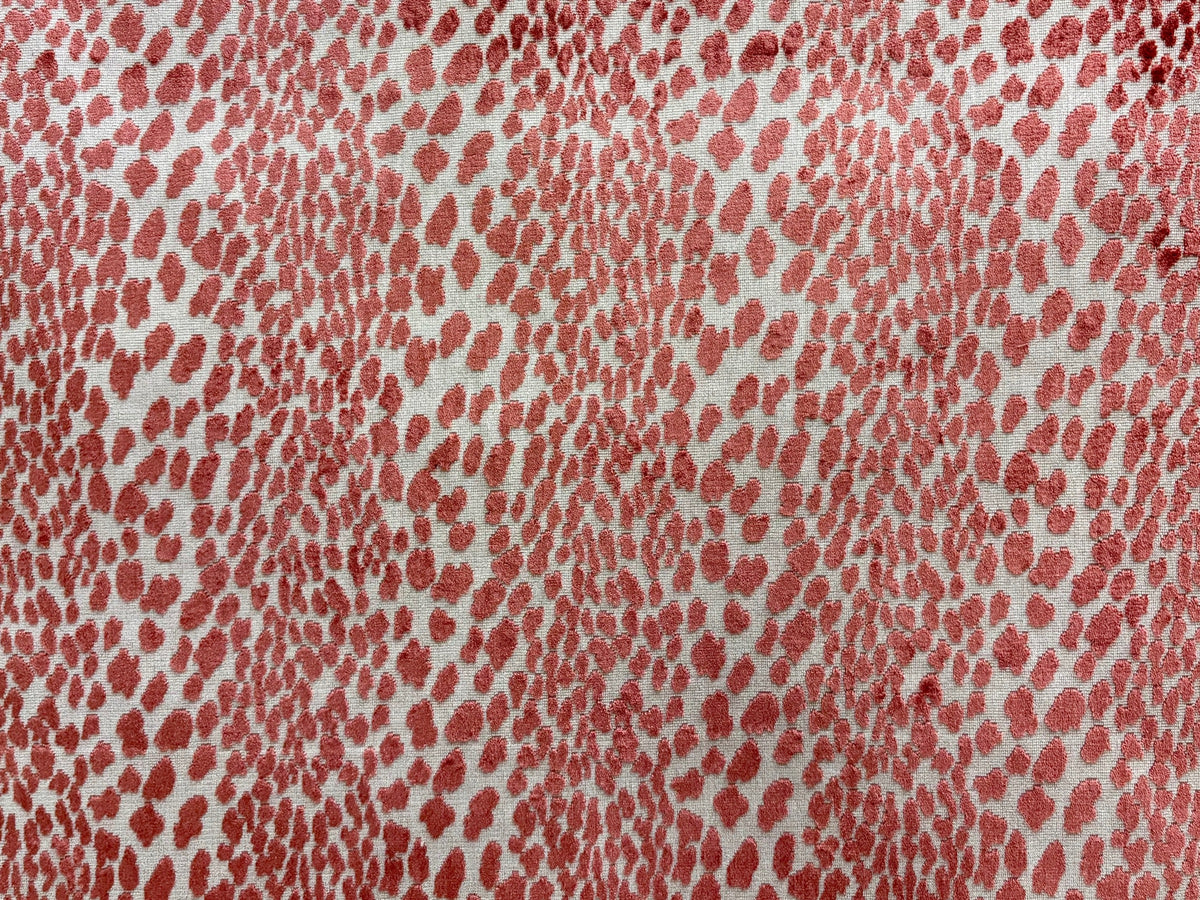 Seeing Spots Petal