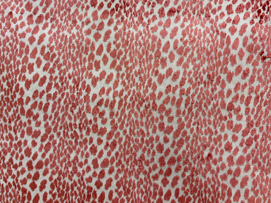 Seeing Spots Petal