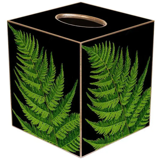 TB Ferns on Black
