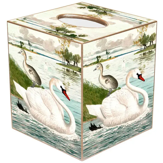 TB Swan in Pond